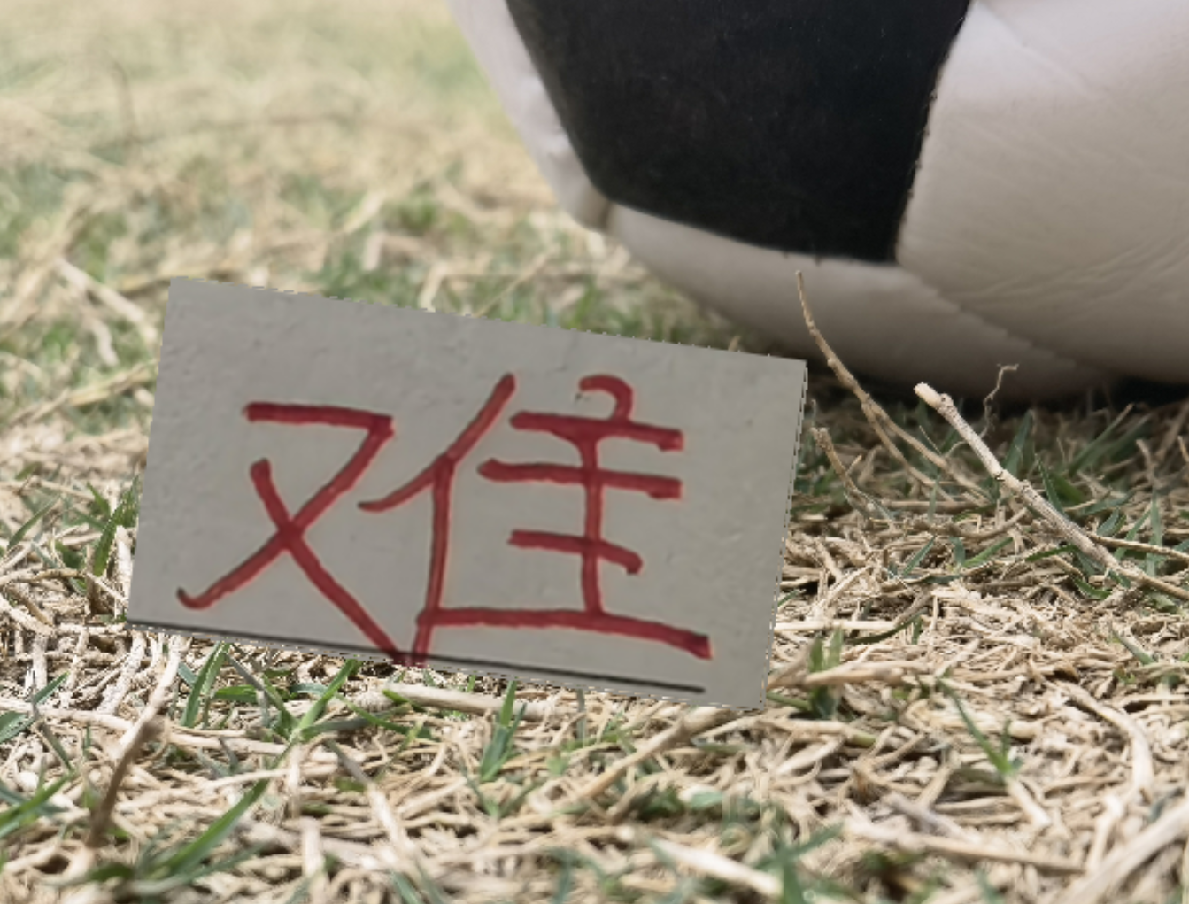 华体会体育登录入口-疲劳度加满！再加遇旧人徐新 卫冕冠军周末战云南 能避免两连败吗